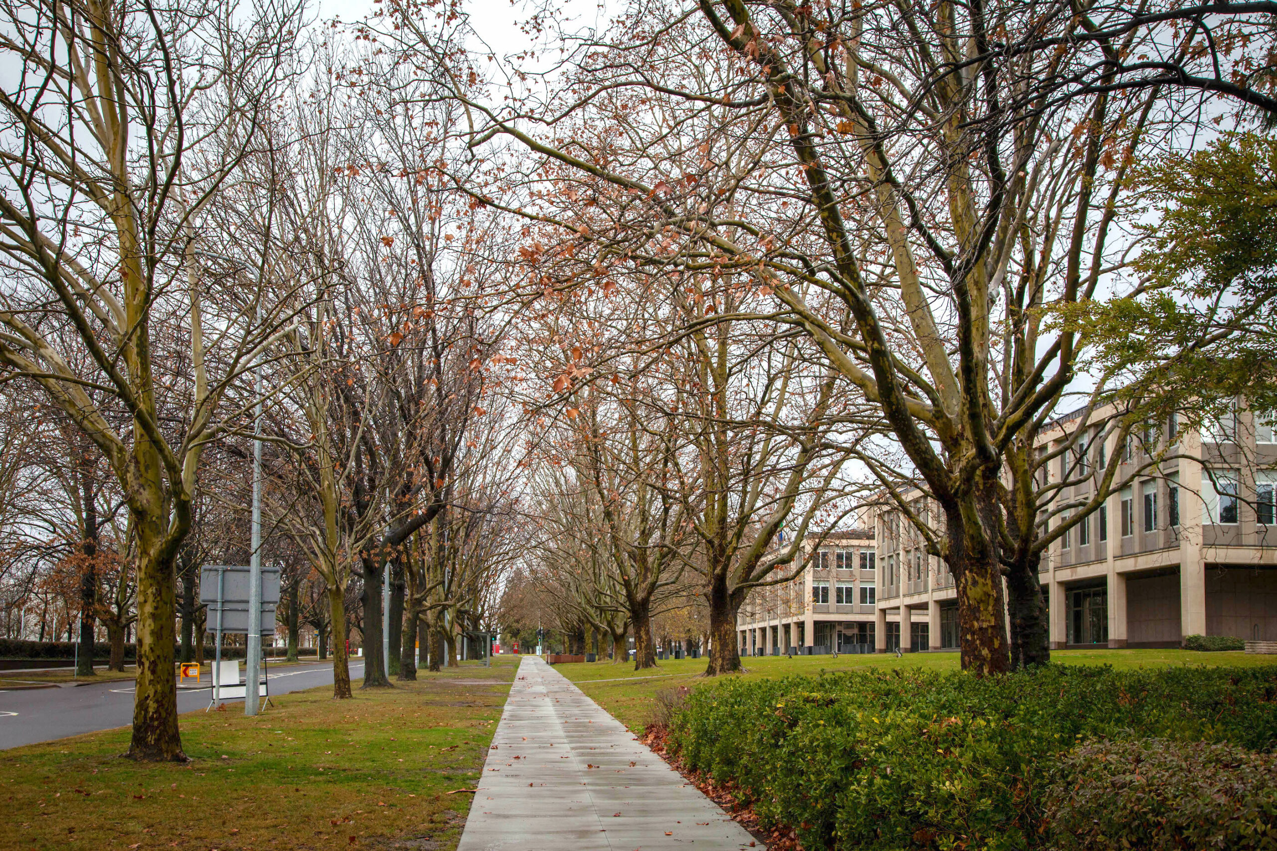 Saturday’s good reading and listening for the weekend