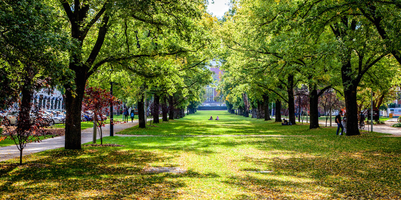 Saturday’s good reading and listening for the weekend