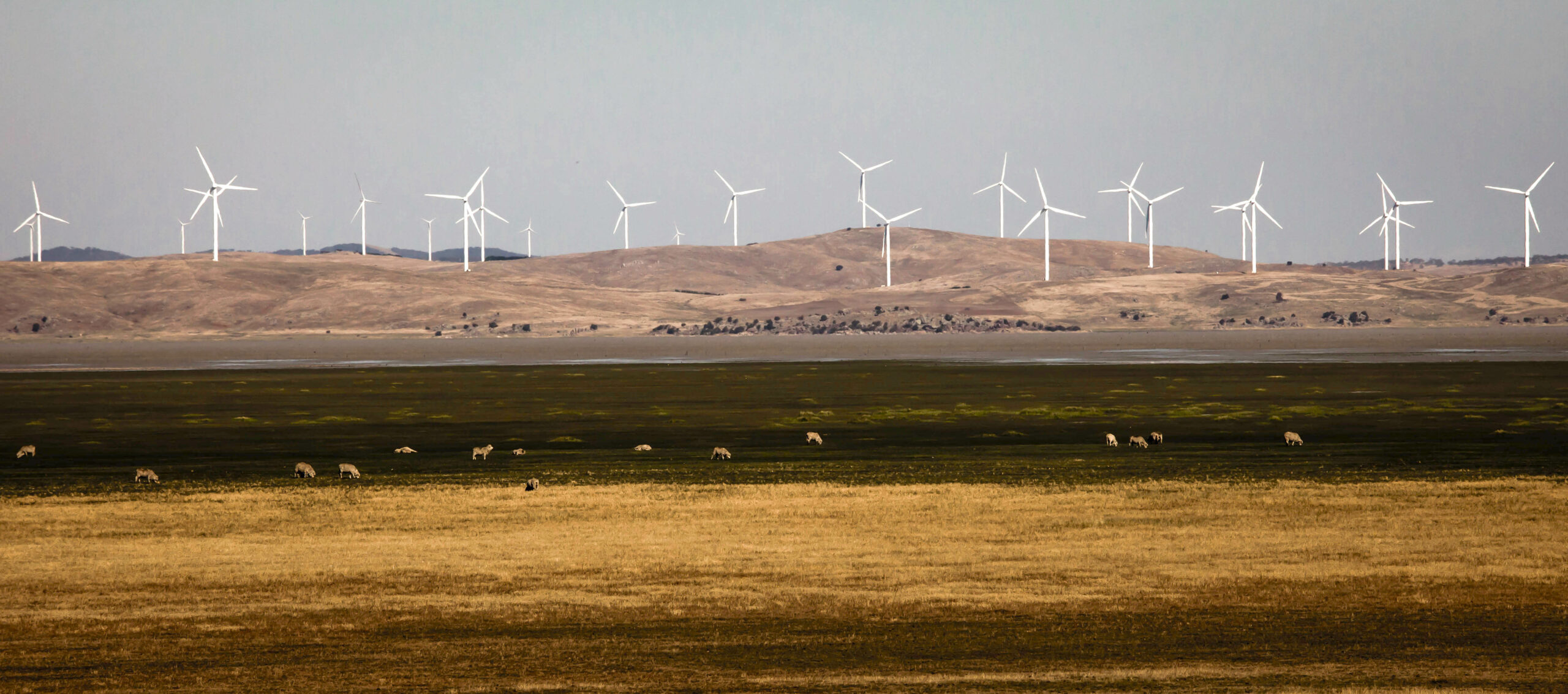 Saturday’s good reading and listening for the weekend