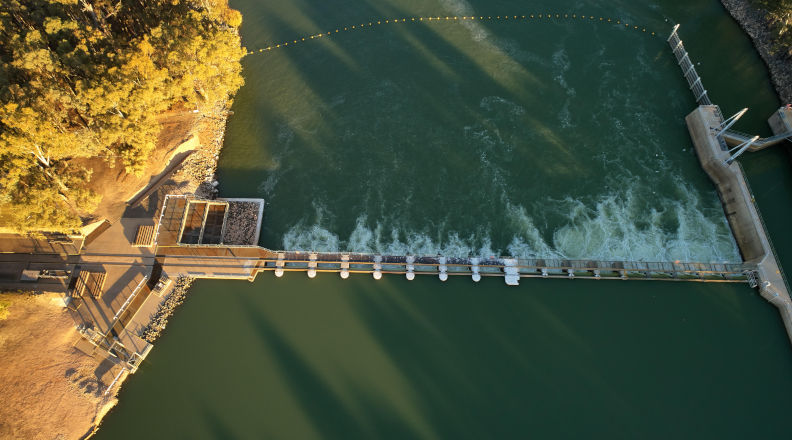 Environment: Murray-Darling Plan delivers profits, but not environmental improvement