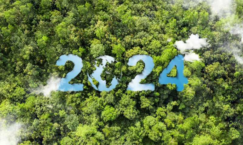 The big con on climate action