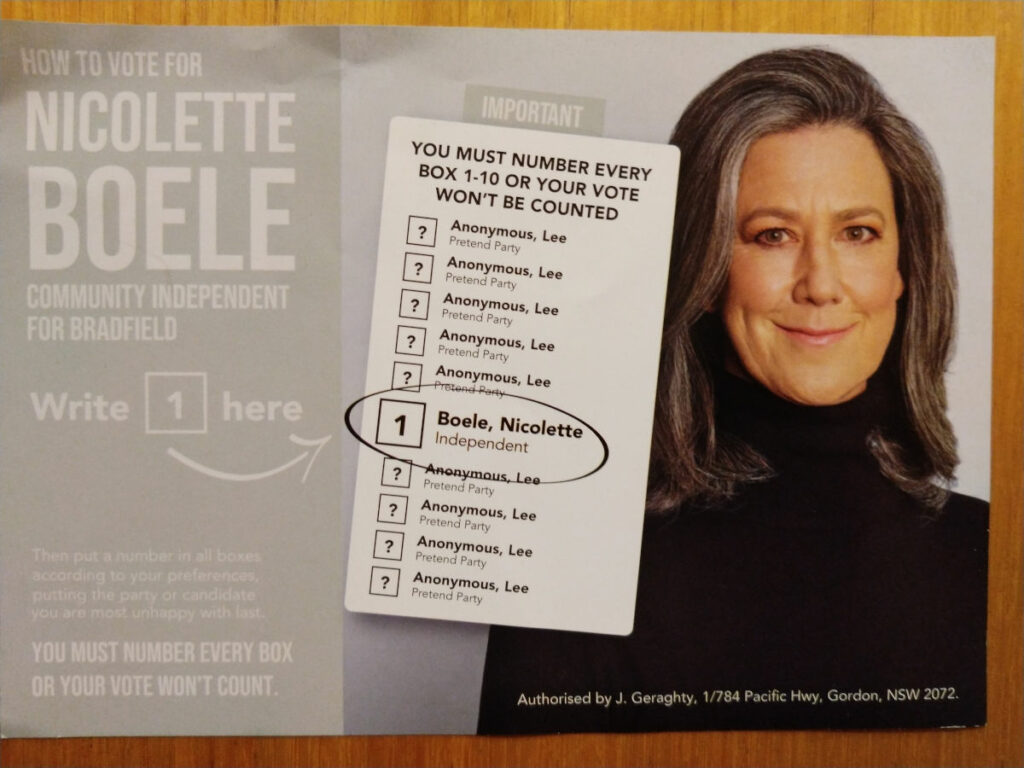 Nicolette Boele How to Vote Card
