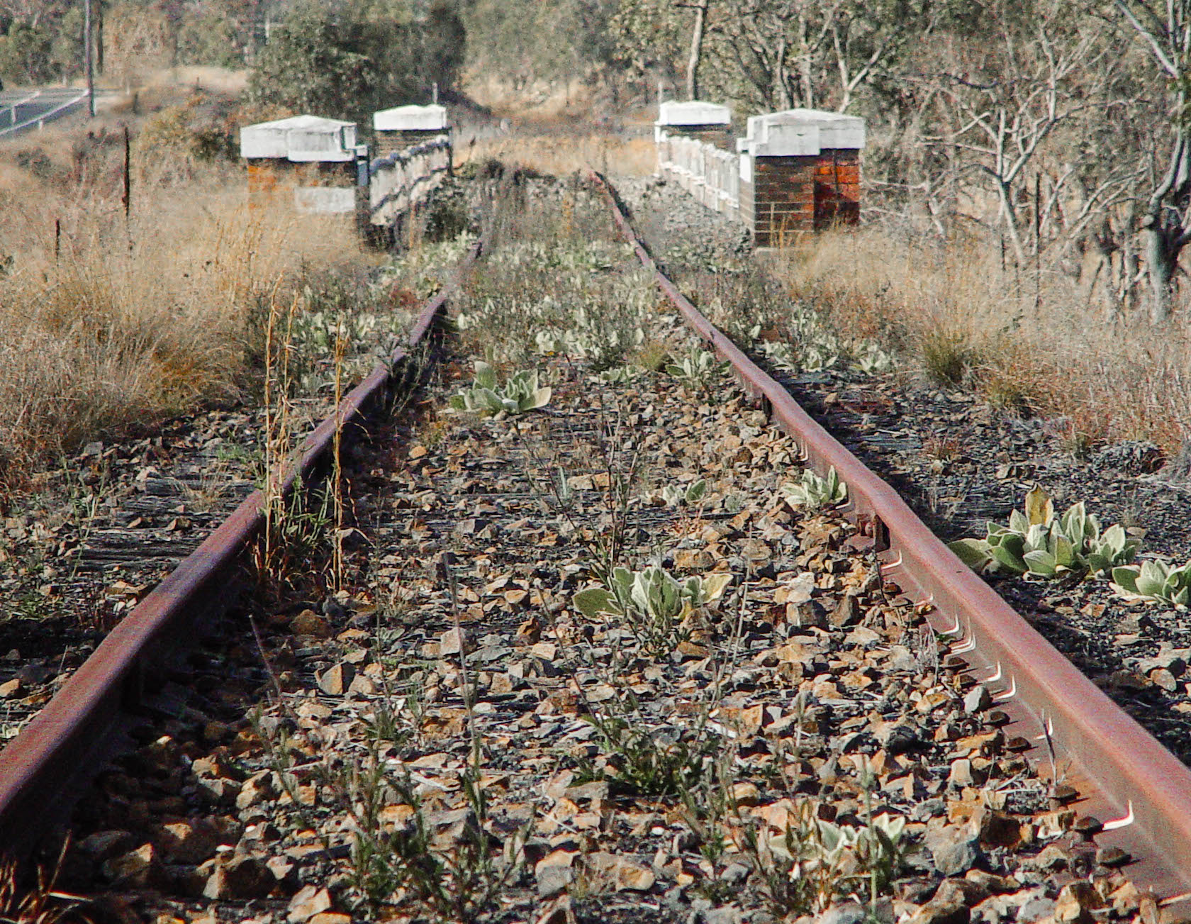 Saturday’s good reading and listening for the weekend