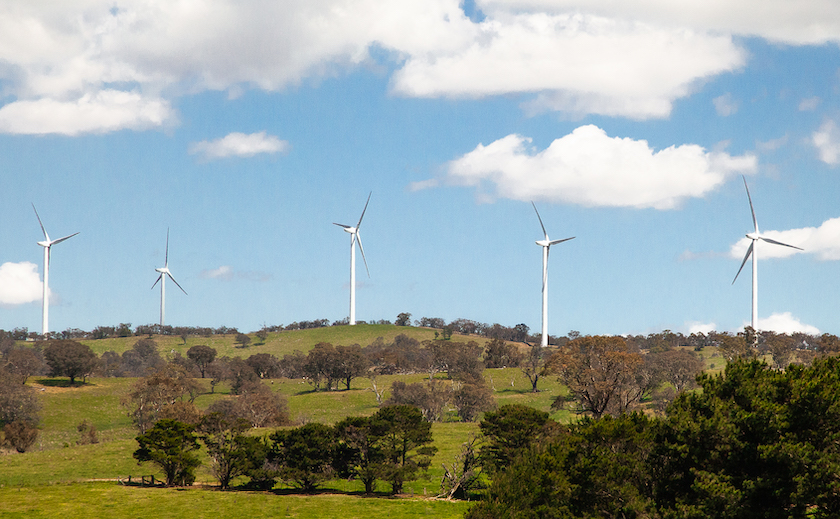 Public policy won't stand a chance under Dutton's politics - Weekly Roundup