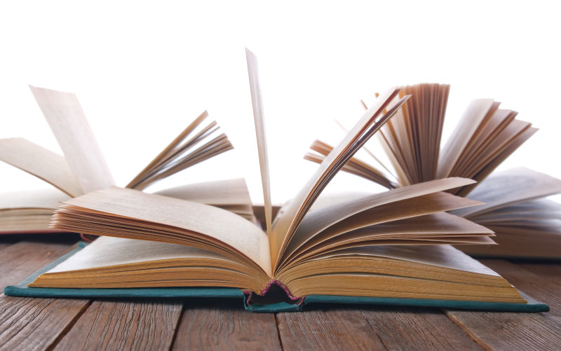 Searching for Elsewhere: Born into a cult. How to survive?