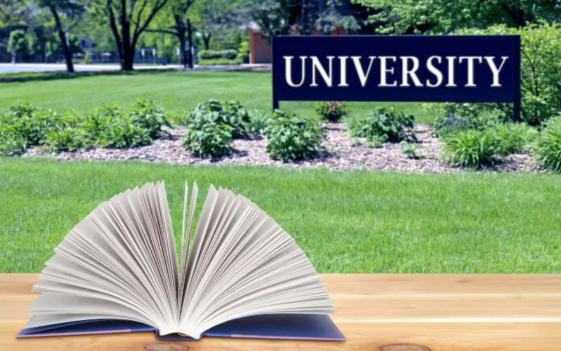 Can Hong Kong universities be nuanced, but not 'anti-regime'?