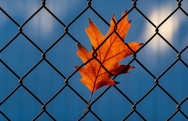 The truth at last for Kathleen Folbigg