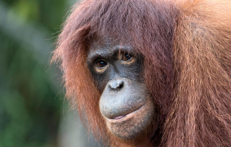 Environment: Too much and too little water causing problems from the tropics to the poles