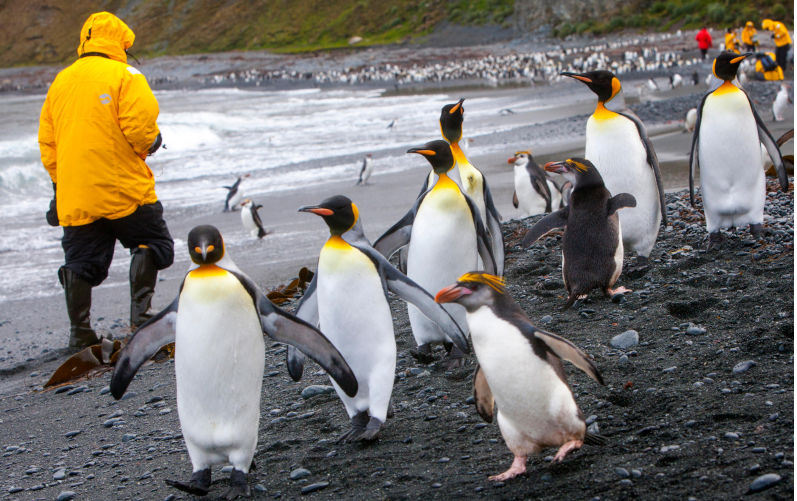 Federal election: When it comes to the ocean, where is the contest?