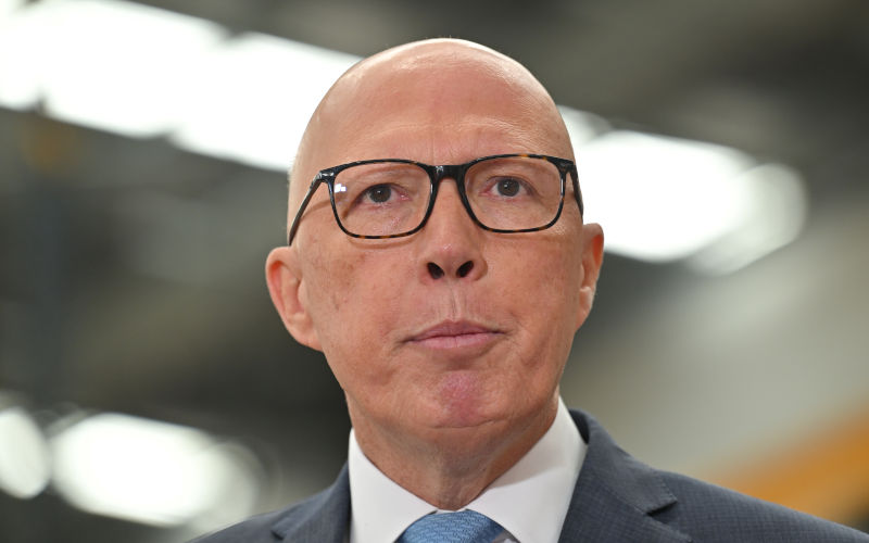 Uncertainty and pessimism abound. Will fear be enough to push Dutton into office?