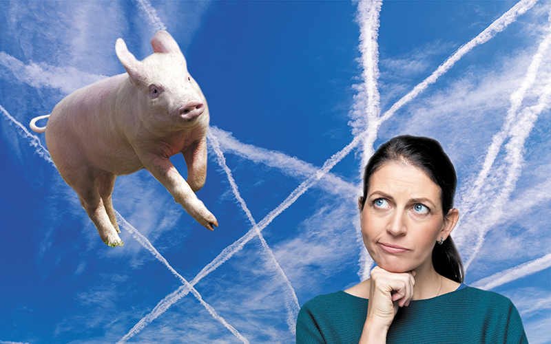 Pigs might fly: Australian aviation’s delusional emissions future