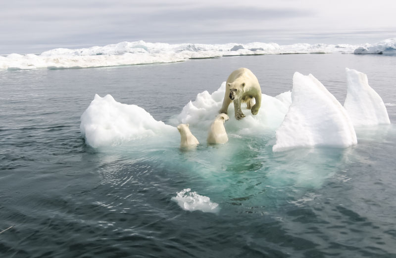 Environment: Rich people are melting Arctic sea ice