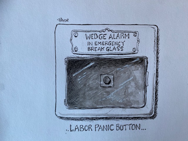 Wedge alarm, the Labor panic button