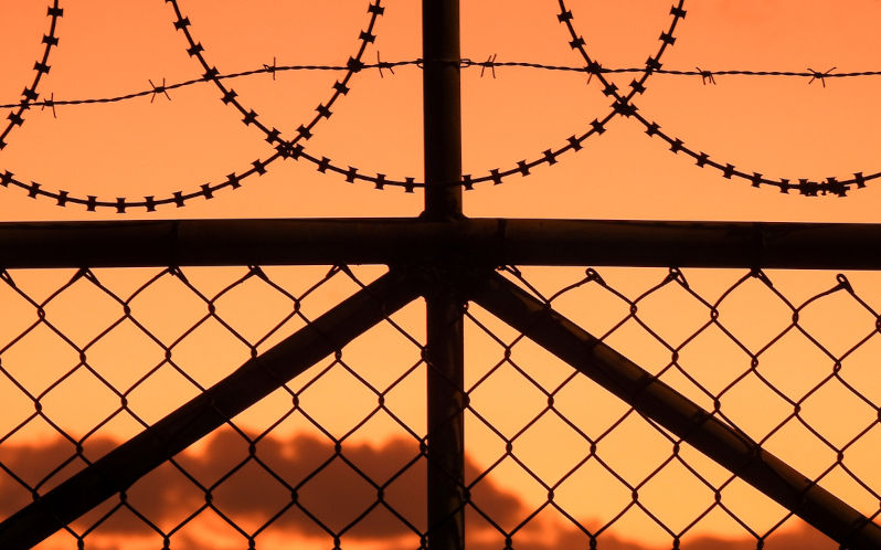 Side stepping the politics of cruelty