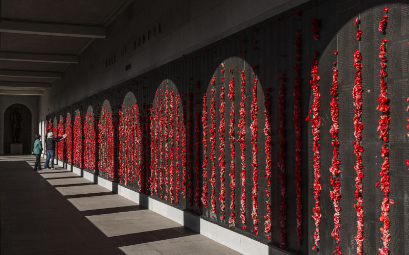 Red poppies and bare ground: Why do we discriminate among our war dead?