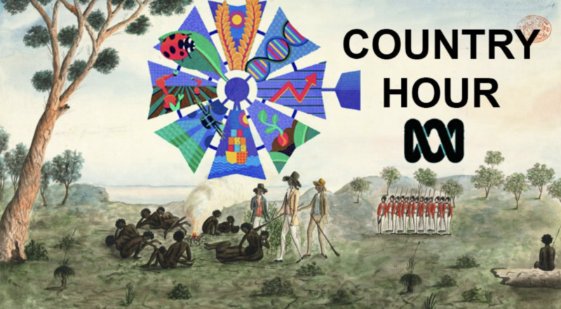 It’s the Voice of ‘Rural Nullius’ on a Jim Crow Country Hour