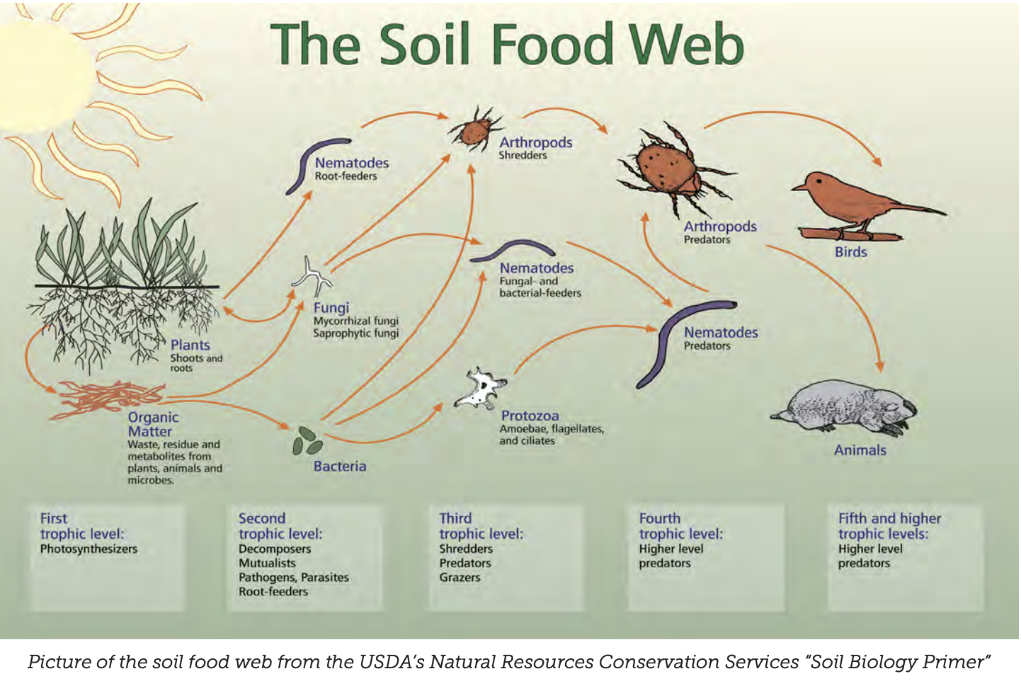 Sunday environmental round up.