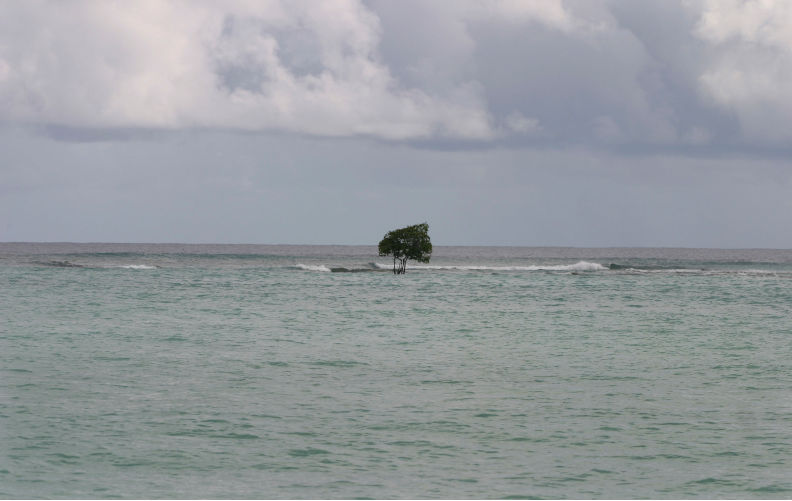 Go-ahead for new carbon bomb marks Australia as enemy of the region
