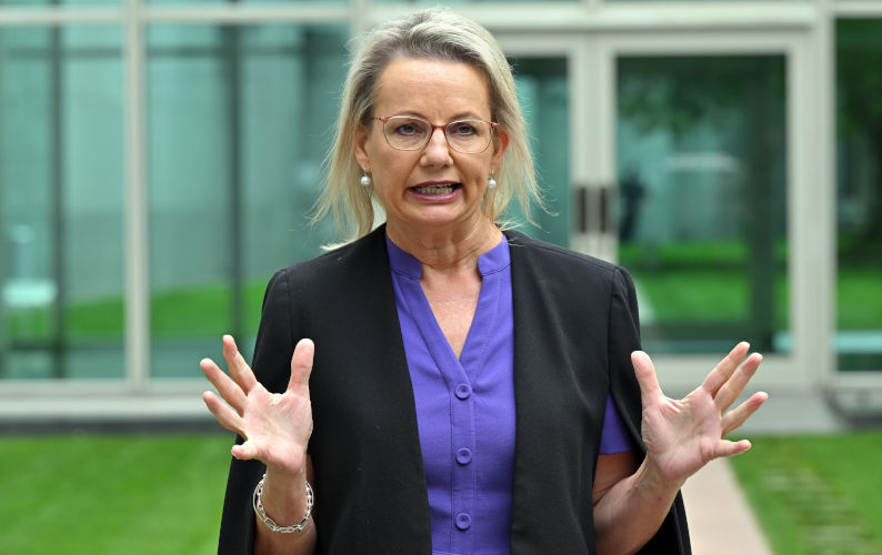 Sussan Ley’s desperate dog whistling will not be forgotten