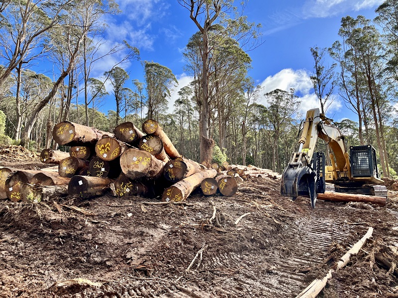 The NSW native forest logging industry is unsustainable – a fast transition out is needed now