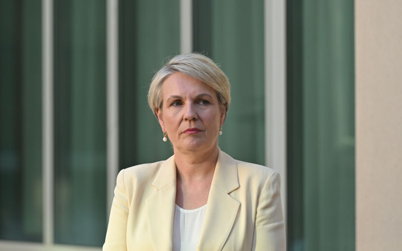 Environment Minister resorts to ‘drug dealer's defence’ for coal mine approvals