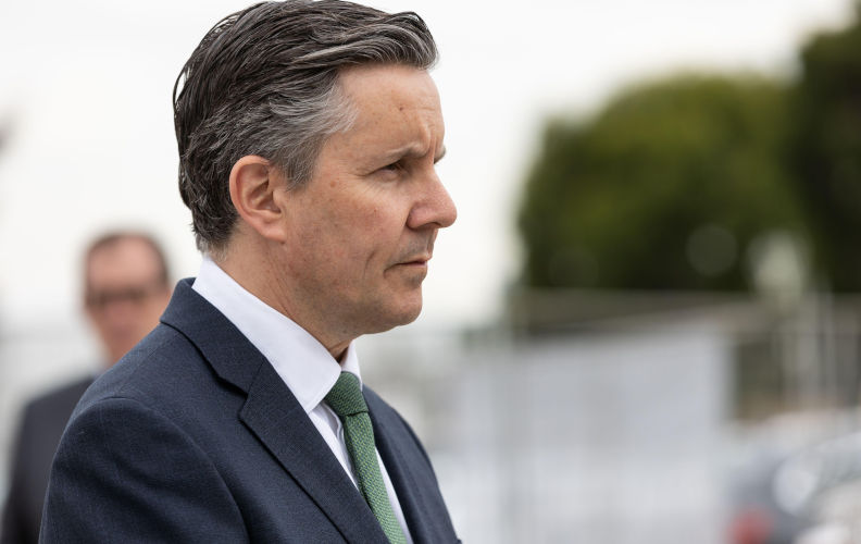 Private hospitals seeking more government subsidies