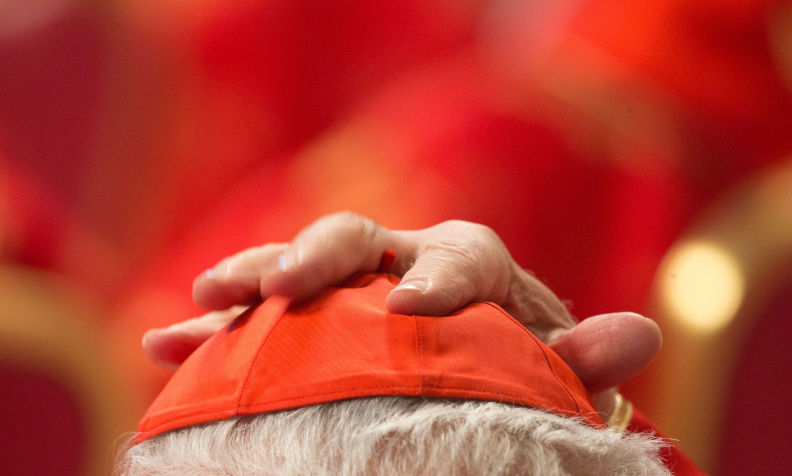 Will the new pope be a Francis clone?