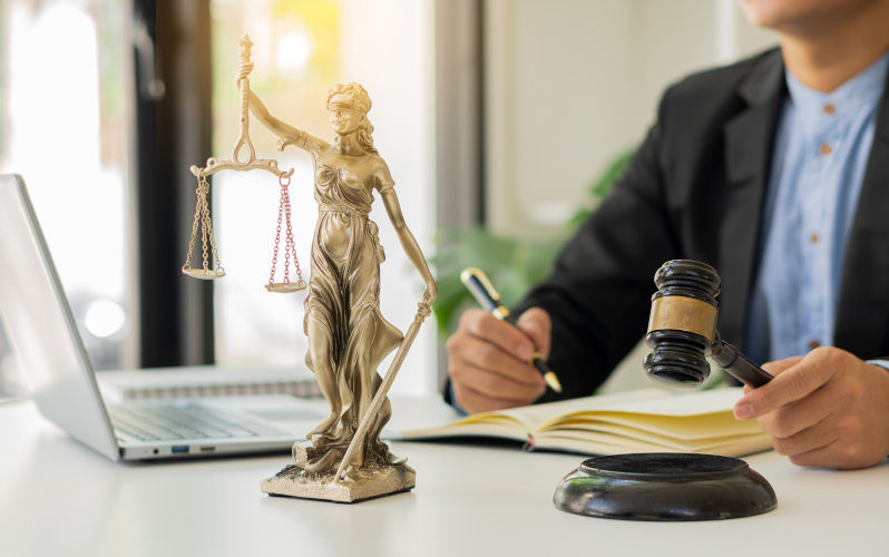 A watchdog without bark or bite