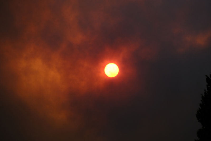 Requiem for our species