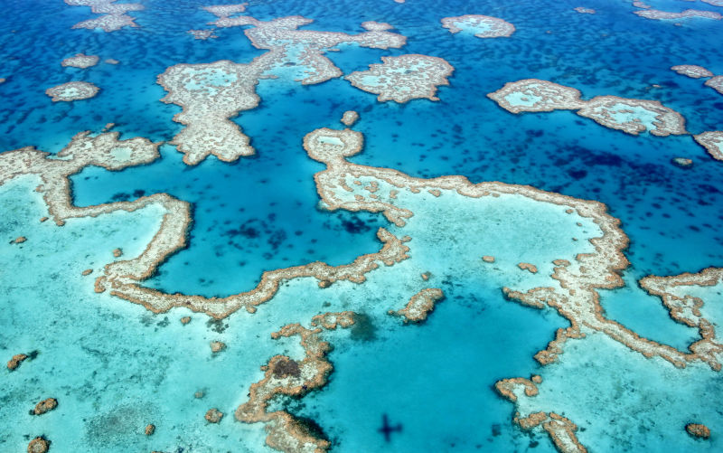 International mission to decide on Morrison Government's climate and reef policies