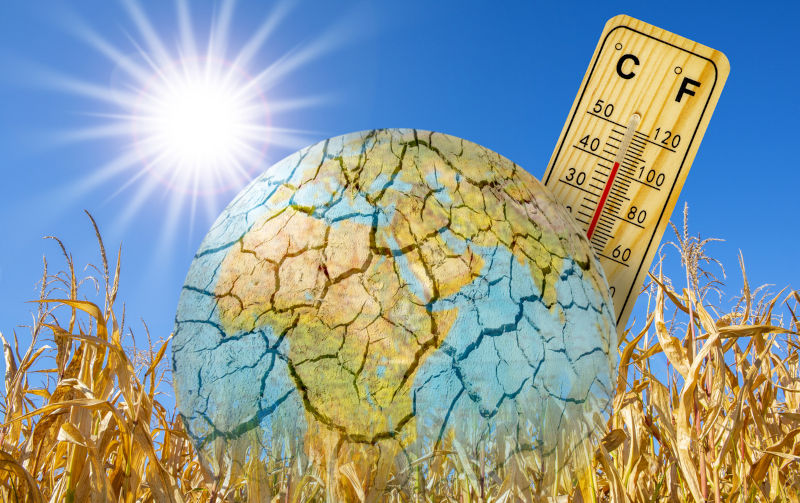 A triumph for greed over commonsense and humanity