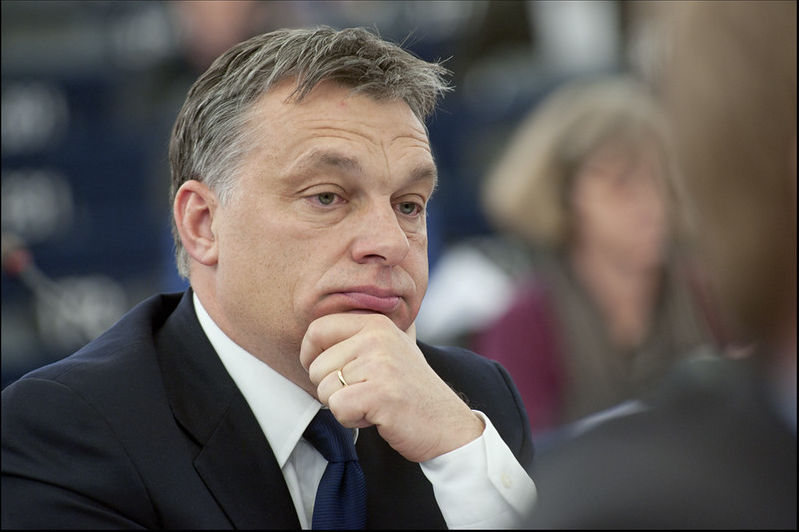 Orban's Australian sycophants