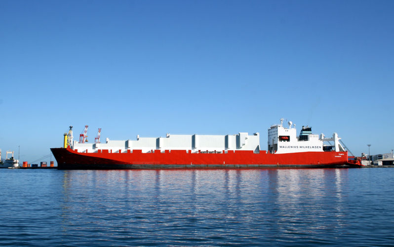 The shadow of the Tampa