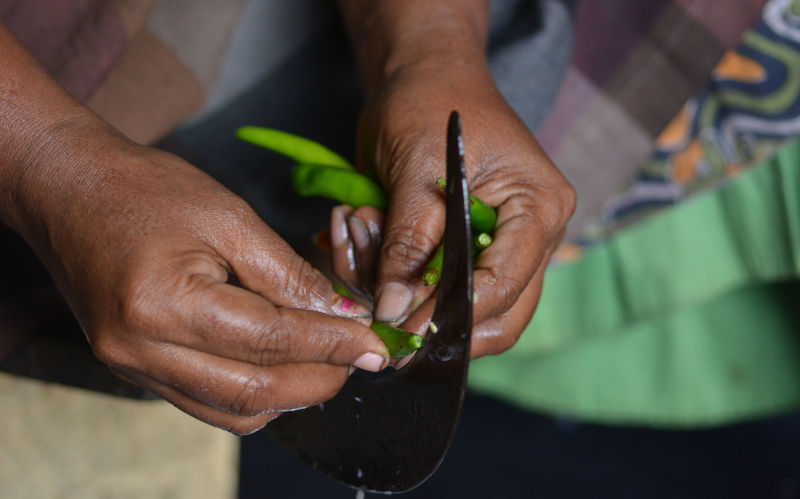 In Kashmir’s cycles of violence, progeny of former counterinsurgents are trapped in traumatic past