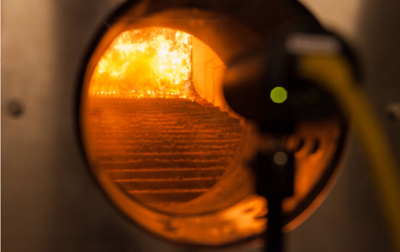 Environment: burning wood in power stations doesn’t help the climate