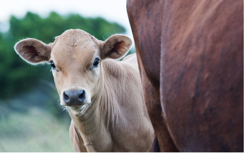 Is it just biosecurity that should worry us, or is there a much bigger danger?