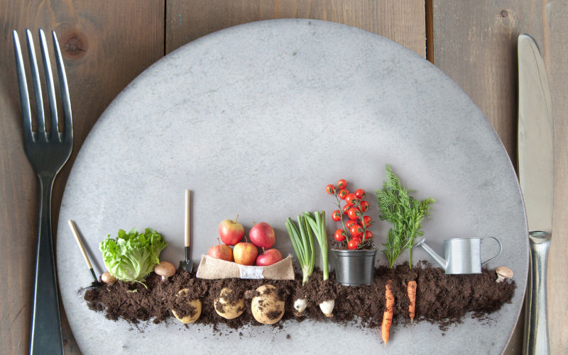 Why the world needs renewable food