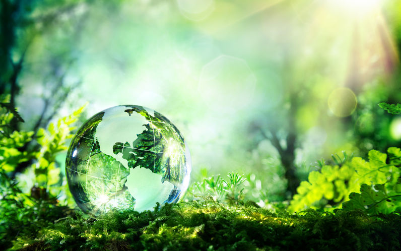 Environment: Humans don’t make history – we play host