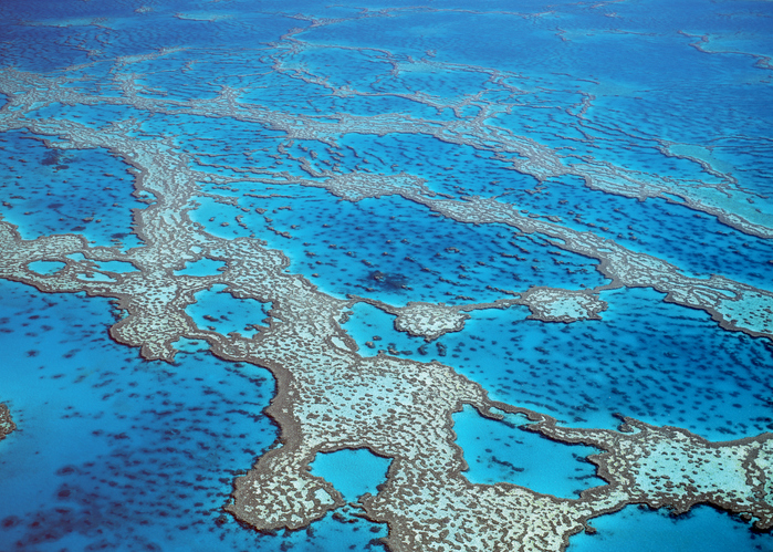 The Great Barrier to understanding the Reef