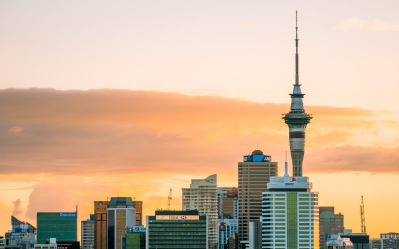 NZ cities are getting hotter: Five things councils can do now to keep us cooler when summer comes