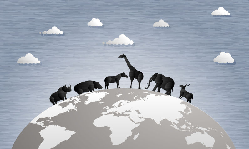 Can we save a 'livable Earth'?