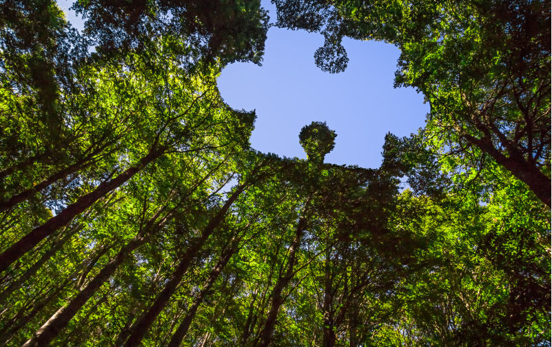 Good science has no bias