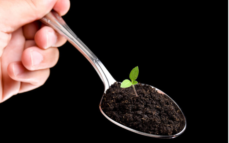 Devouring the earth may decide our future