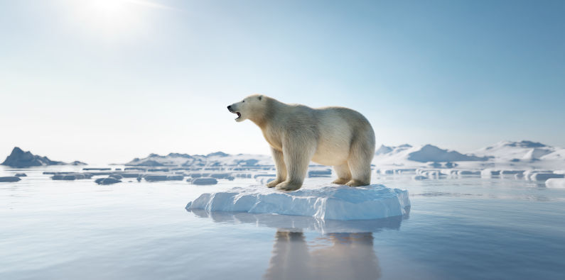 Environment: Warming, thawing Arctic presents problems for everyone