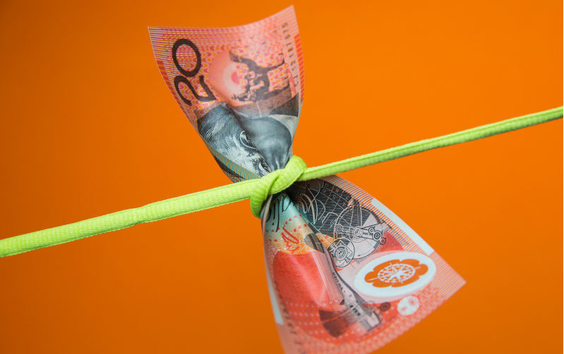 Dutton's war on waste