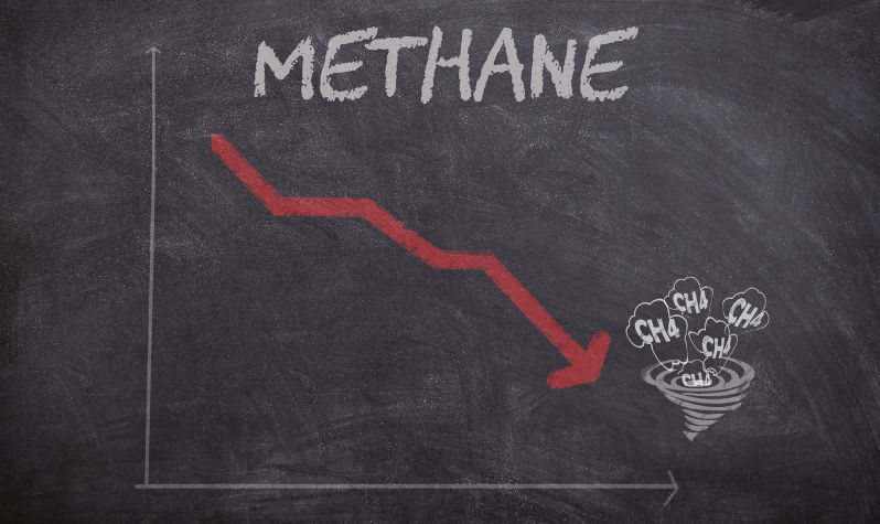 Environment: The folly of focusing on net zero