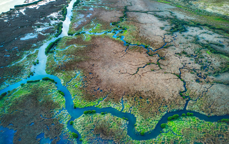 The National Environment Protection Agency and the integrity of Australia's ecosystems