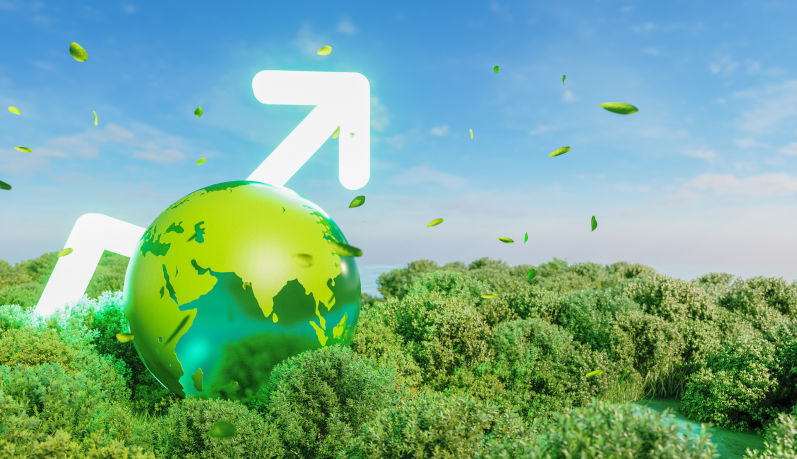 The Albanese government has created a climate vacuum, and we will pay the price