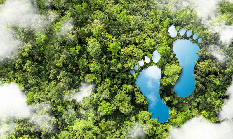 Environment: Humans’ contempt for the natural world drives environmental destruction