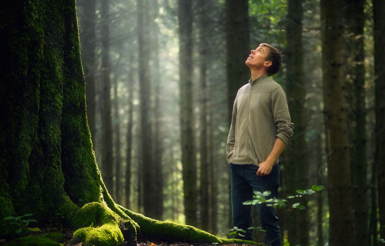 Environment: Humanity’s big success: turning forests from saviours to spoilers